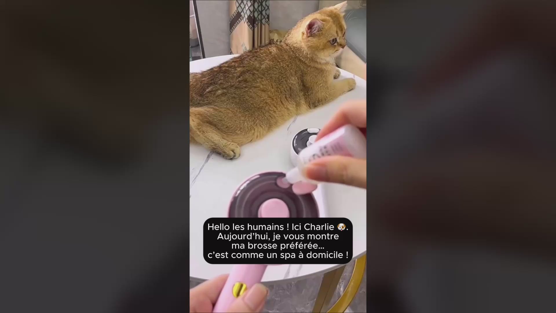 Charger la vidéo: Démonstration du fonctionnement de la brosse auto-nettoyante sur un chat.